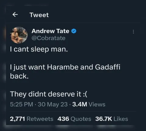 Harambe and Gaddafi Return
