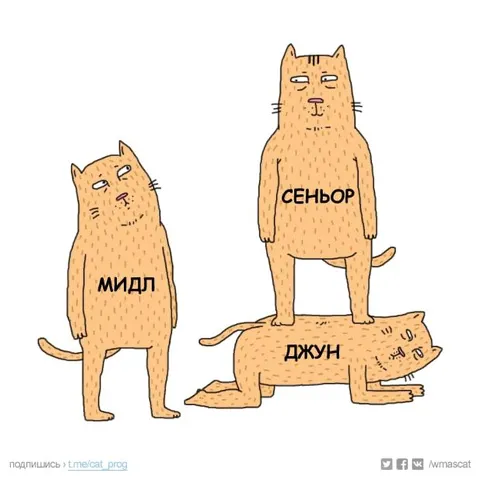 Мидл, сеньор и джун