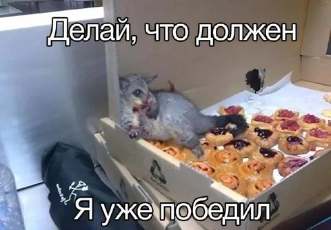 Я уже победил