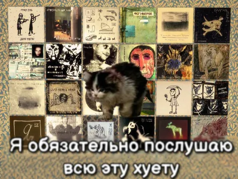 Я обязательно послушаю всю эту хуйню
