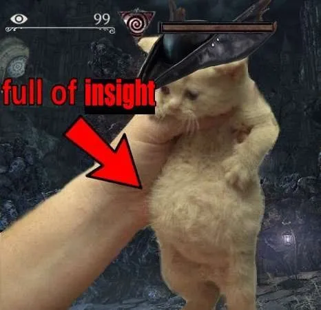 Full of Insight Cat