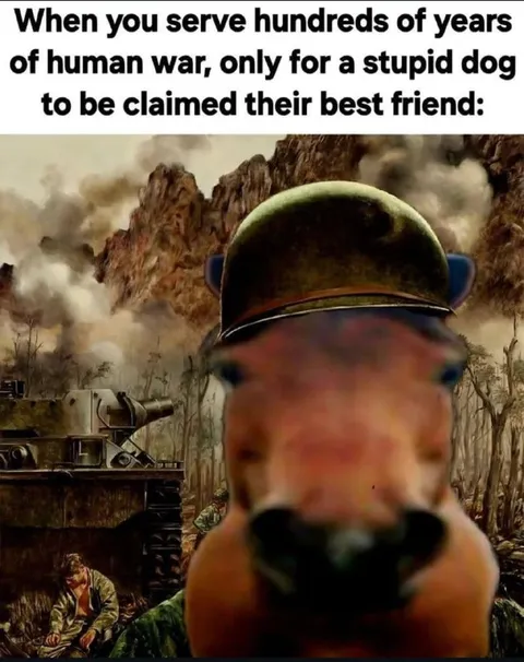 War Dog Best Friend