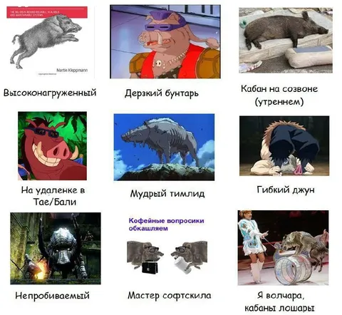 Кабаны на удалённой работе