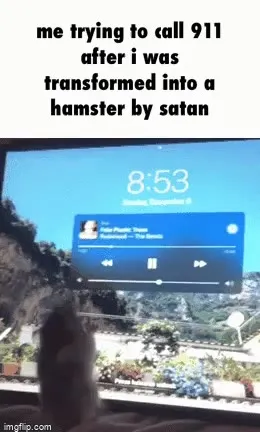 Hamster Tries to Call 911