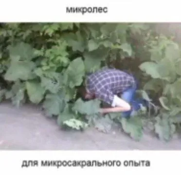 Микропес для микросакрального опыта