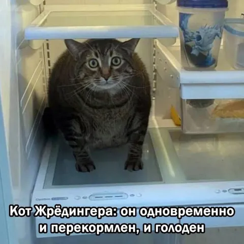 Кот Жрёдингера в холодильнике