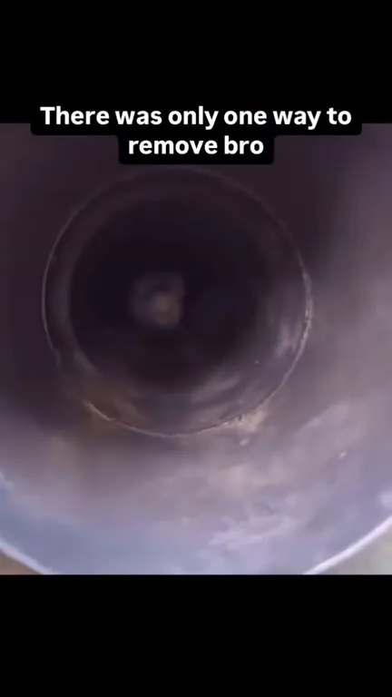 Only One Way to Remove Bro