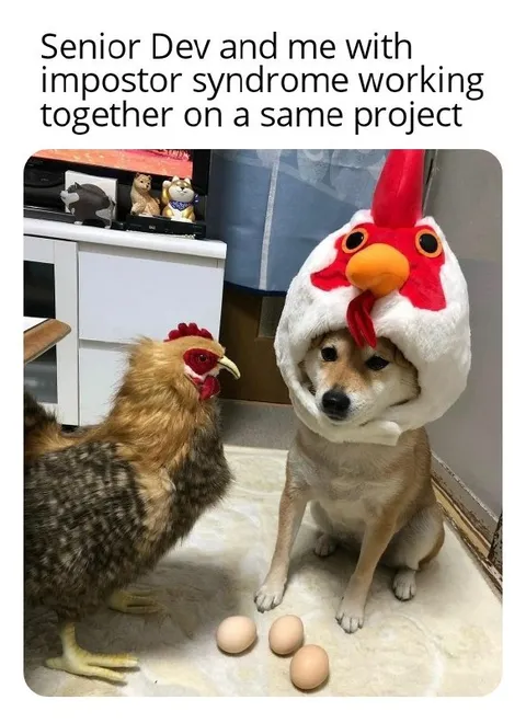 Senior Developer Impostor Syndrome