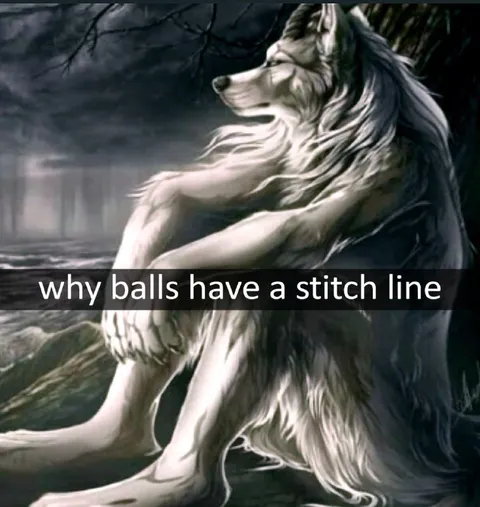 Why Balls Have a Stitch Line