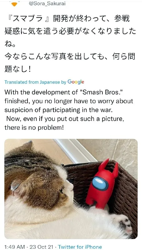 戦争の疑いを気にしない猫