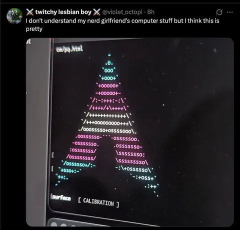 Nerd Girlfriend's Pretty Computer Stuff