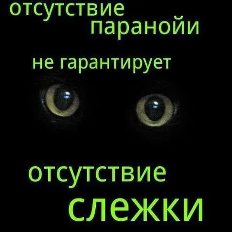 Отсутствие паранойи не гарантирует слежки