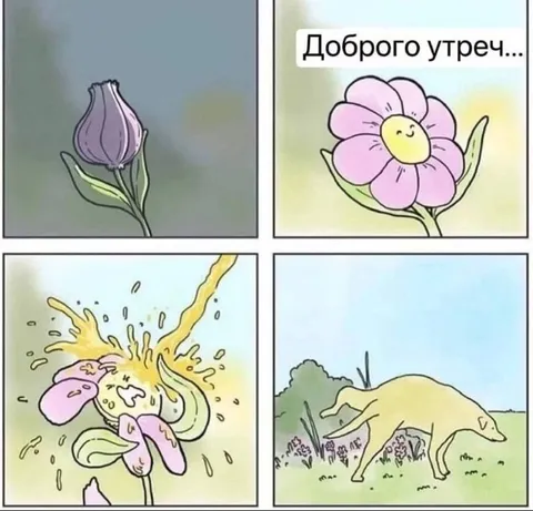 Доброго утречка, цветочек