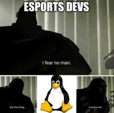 Esports Devs Fear Tux
