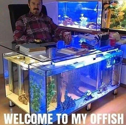 Welcome to My Offish