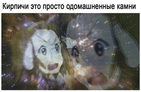 Кирпичи — одомашненные камни