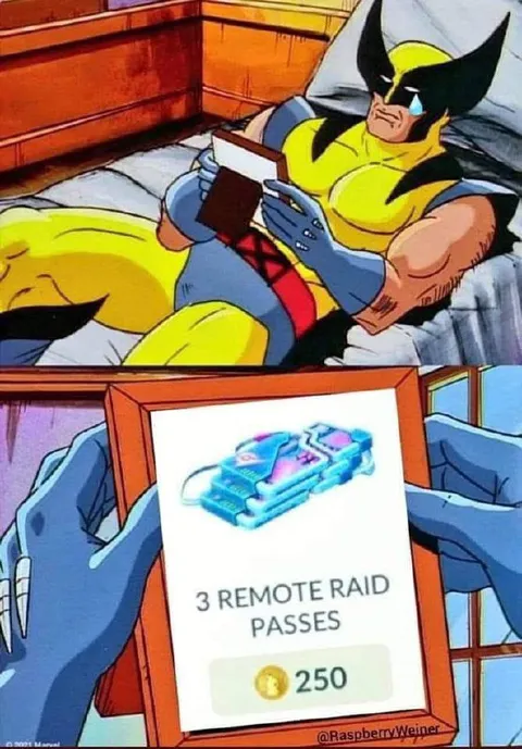 Wolverine Reads Remote Raid Passes