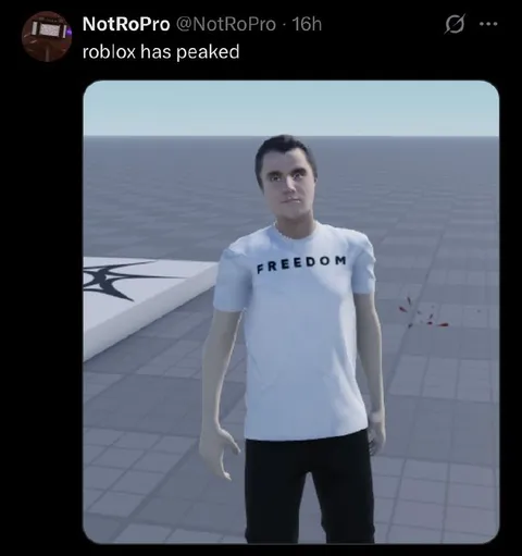 Roblox Has Peaked