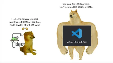 Cheems Versus Visual Studio Code