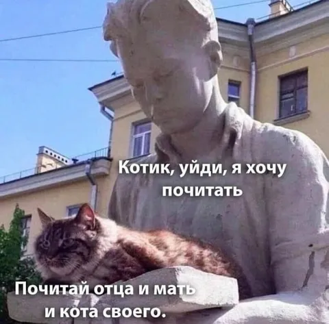 Котик, уйди, я хочу почитать