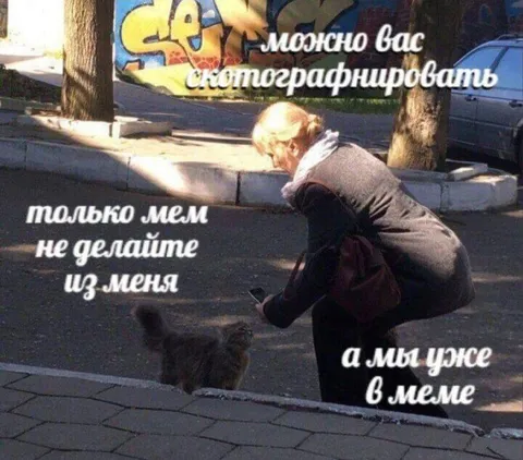 Не делайте из меня мем