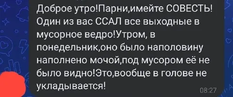 Моча в мусорном ведре