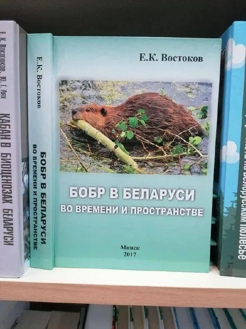 Бобр в Беларуси во времени
