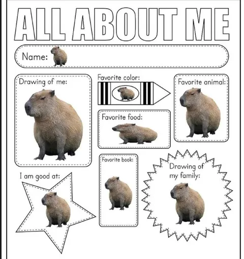 All About Me Capybara