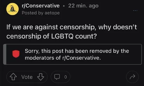 Censored Anti-Censorship Post