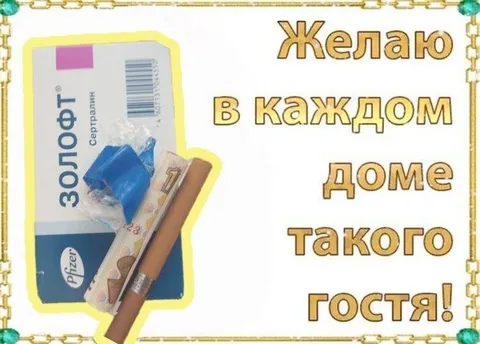Желаю в каждом доме такого гостя