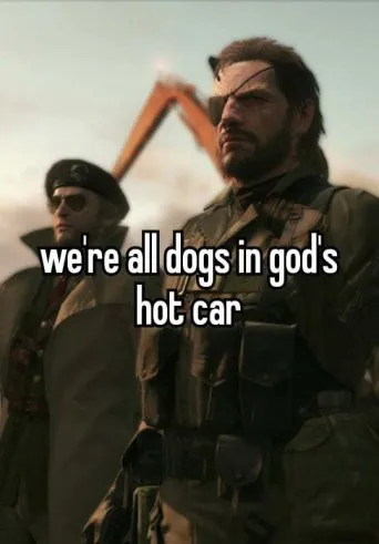 Dogs in God's Hot Car