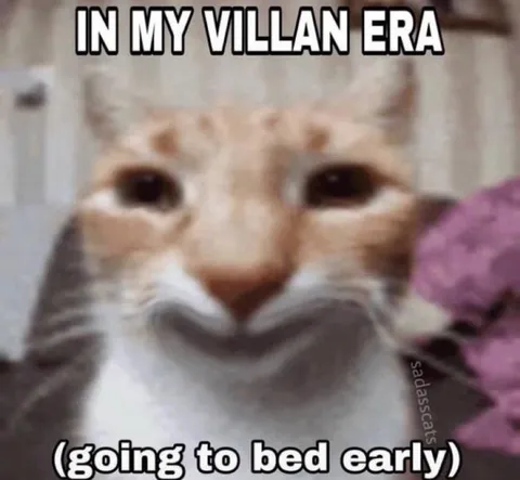 In My Villain Era Cat