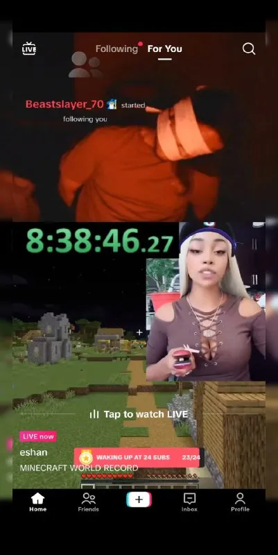Minecraft World Record Livestream