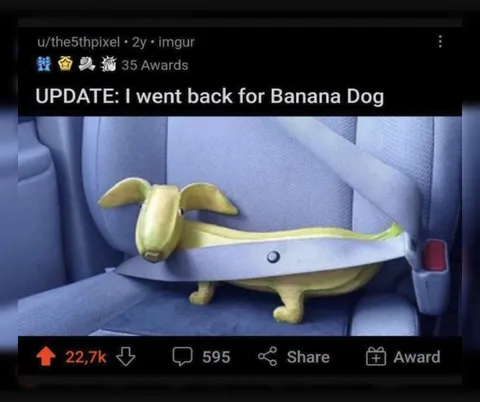 I Went Back for Banana Dog