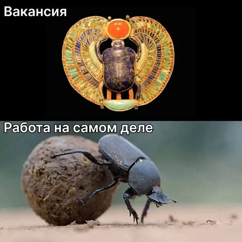 Вакансия и настоящая работа