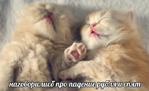 Наговорились про падение рубля