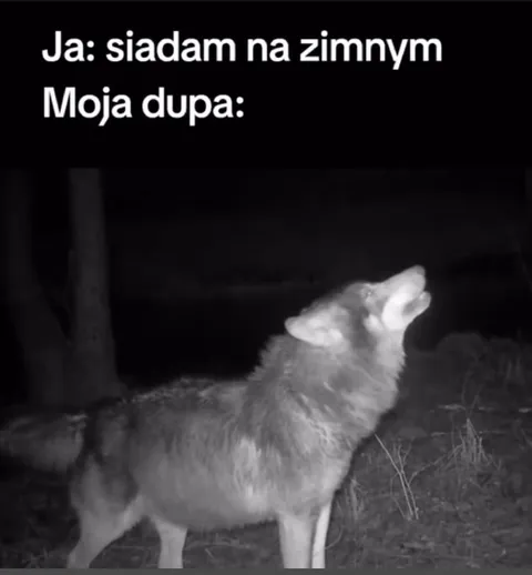 Sadzenie na zimnym