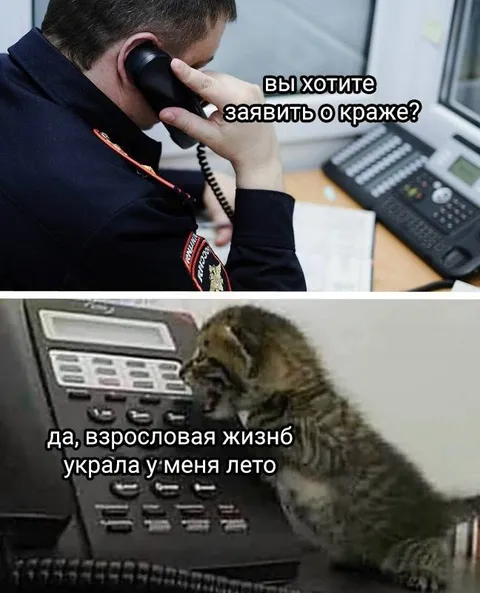 Взрослая жизнь украла лето