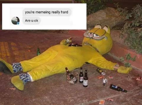 Garfield Memes Too Hard