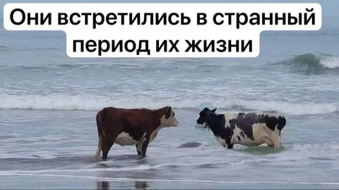 Они встретились в странный период
