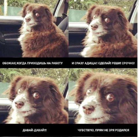 Пришел на работу — и сразу ад