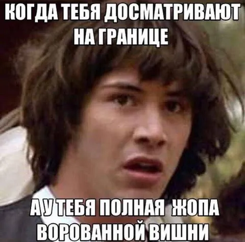 Досмотр на границе с ворованной вишней