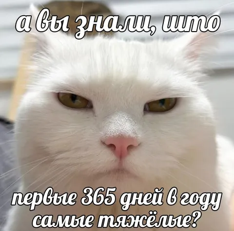 Первые 365 дней самые тяжёлые