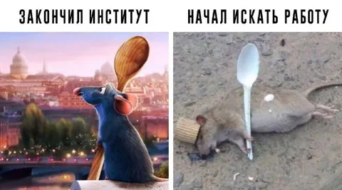 После института и поиск работы