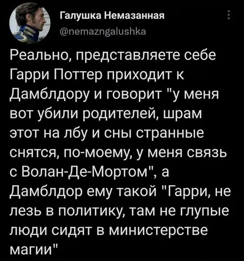 Гарри Поттер идёт в политику