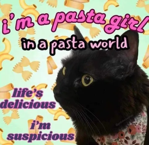 Pasta Girl Cat