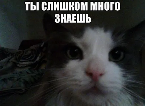 Ты слишком много знаешь