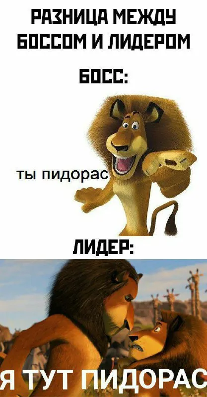 Разница между боссом и лидером