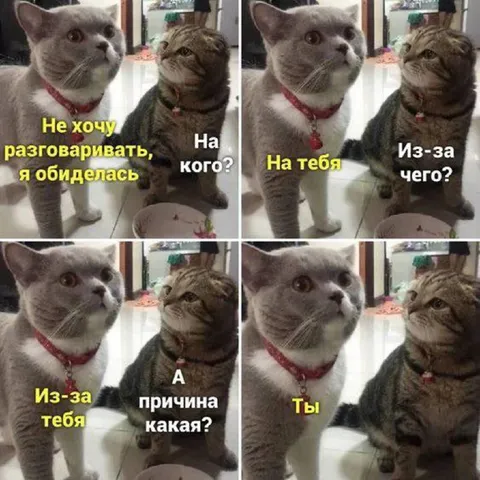 На тебя обиделась