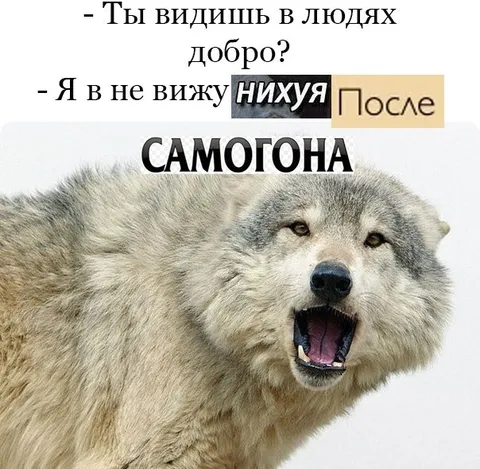 После самогона добра не видно